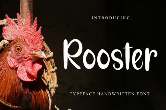 Rooster Font for Trendy Branding and Creative Design