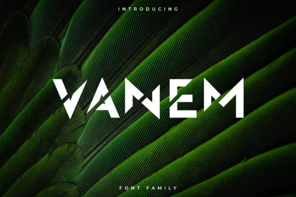 Vanem Font: A Bold Display Typeface for Digital Branding